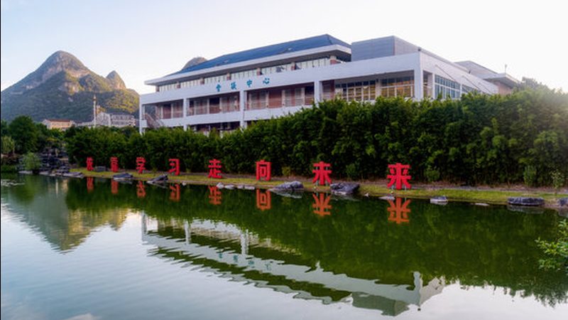 二极管厂家直销，如何选择可靠供应商？**