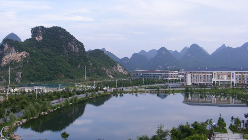 电子元件安装分包：揭秘价格背后的考量因素**